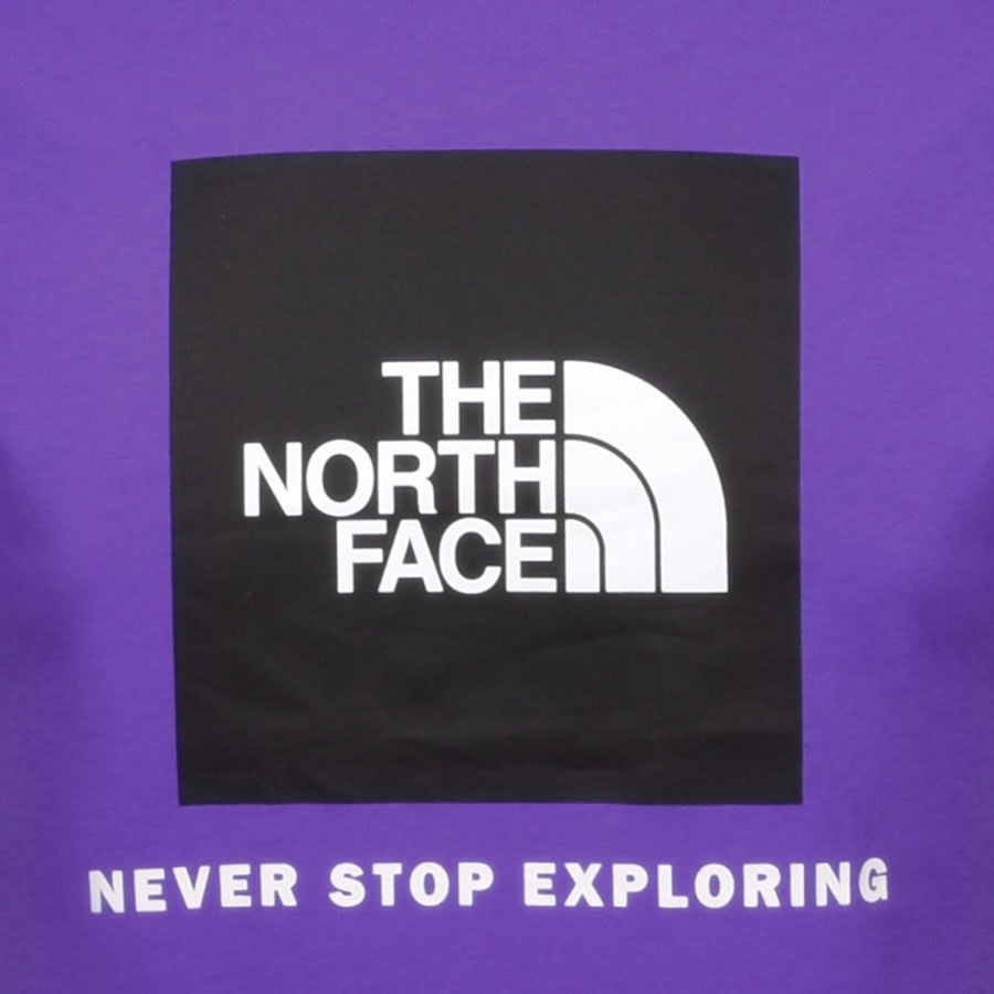 Alternative Image for ProductThe North Face Raglan Redbox T Shirt Purple3